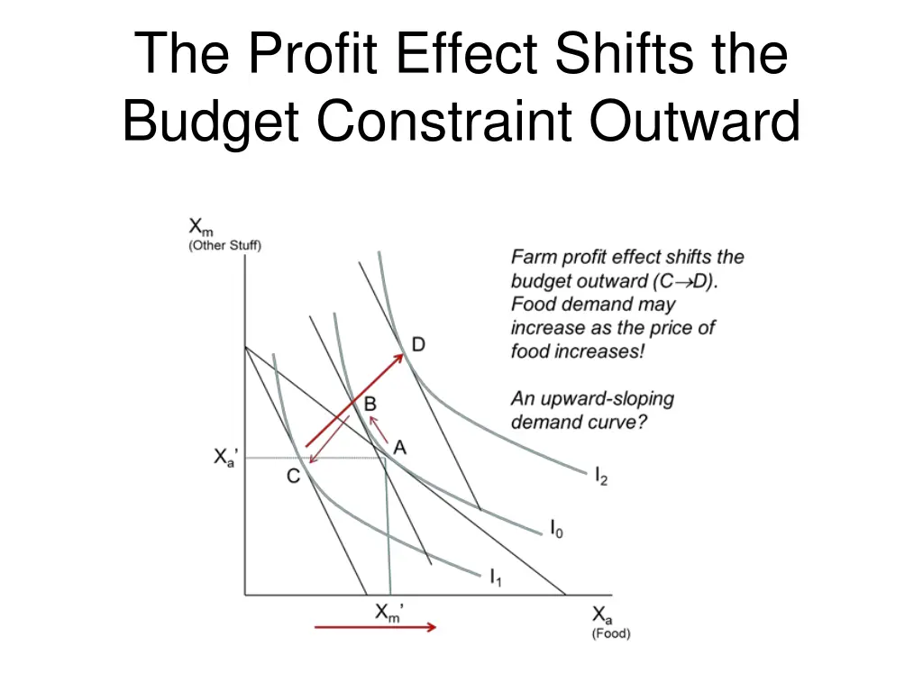 the profit effect shifts the budget constraint