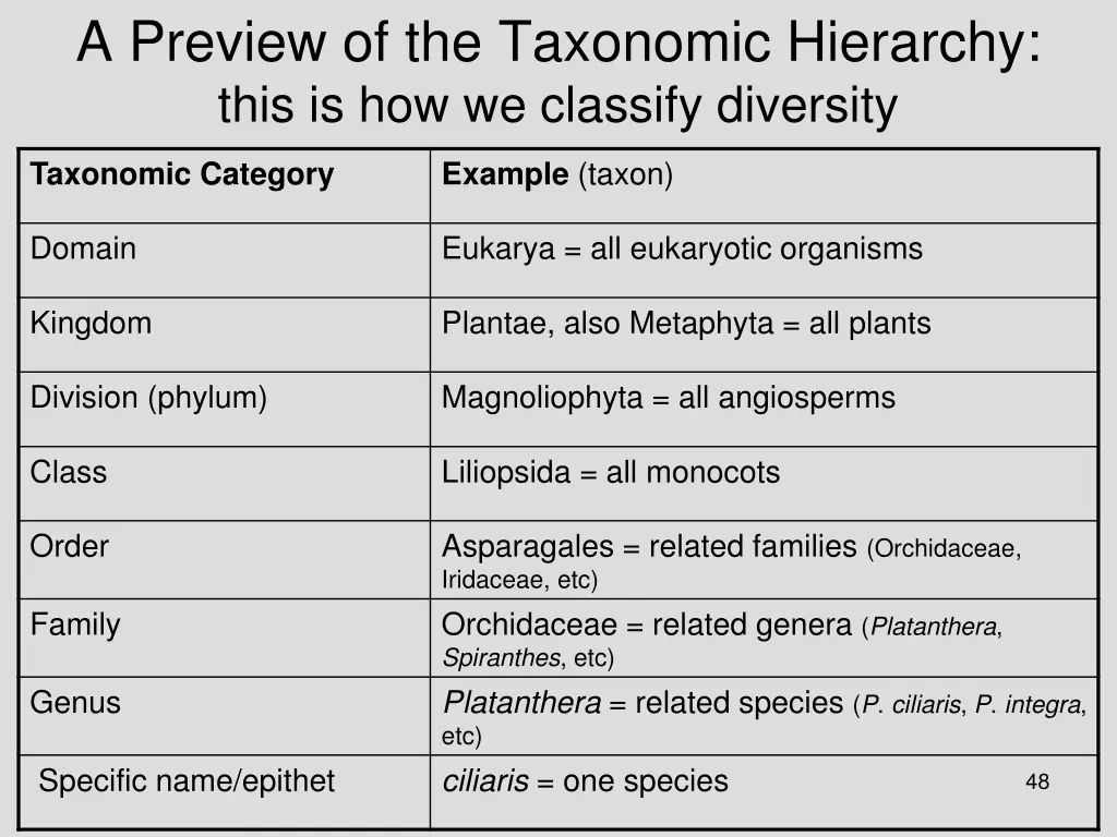 a preview of the taxonomic hierarchy this