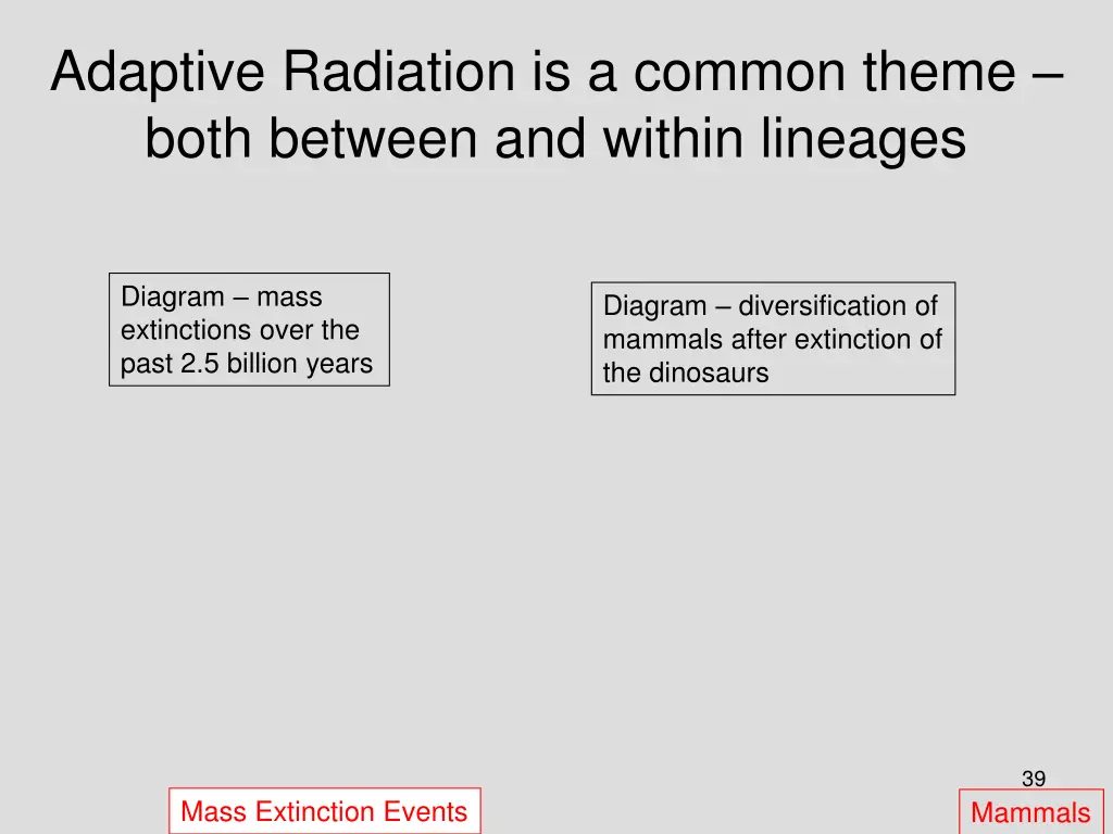 adaptive radiation is a common theme both between