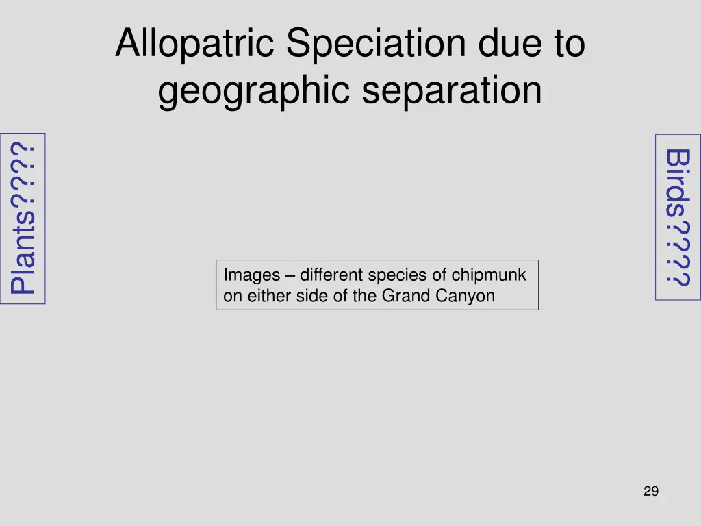 allopatric speciation due to geographic separation