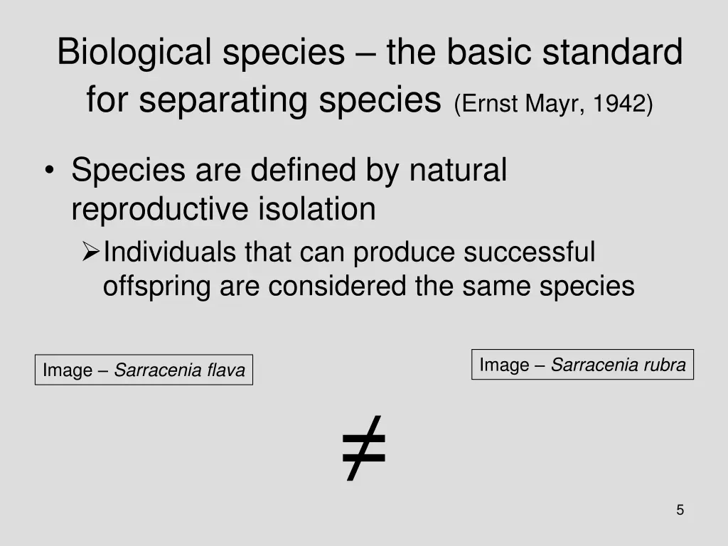 biological species the basic standard