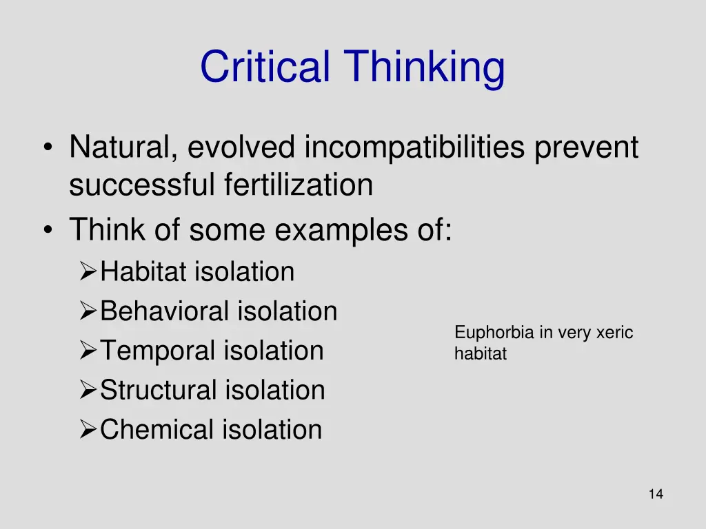 critical thinking 4