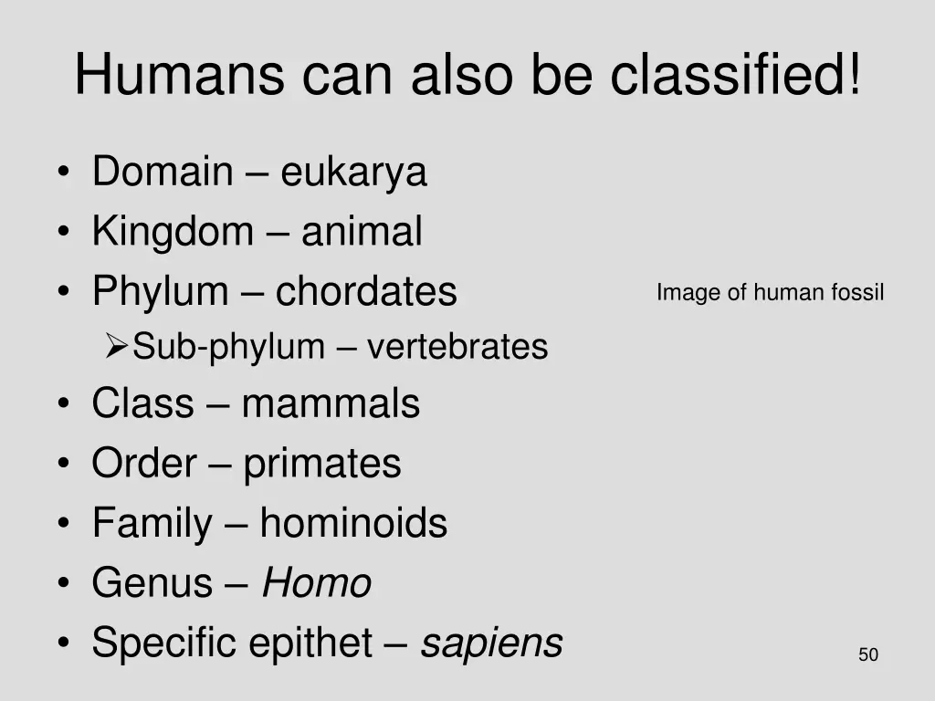 humans can also be classified