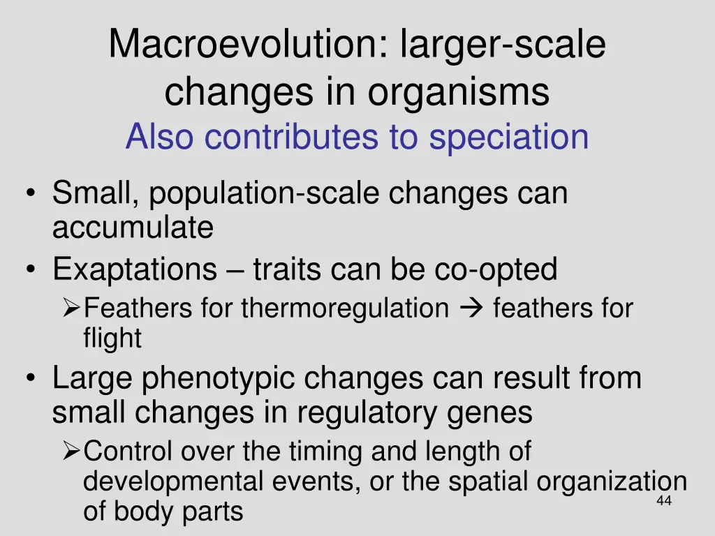 macroevolution larger scale changes in organisms