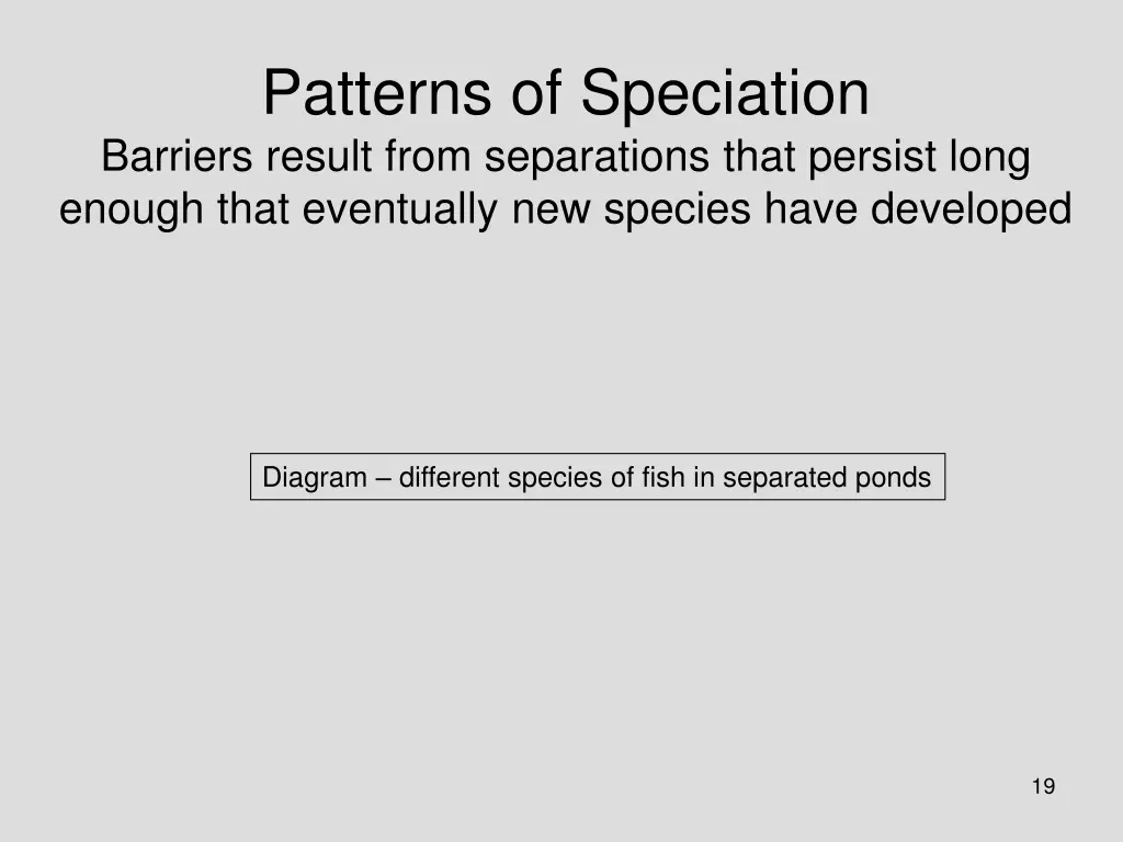 patterns of speciation barriers result from