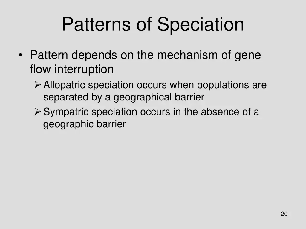 patterns of speciation