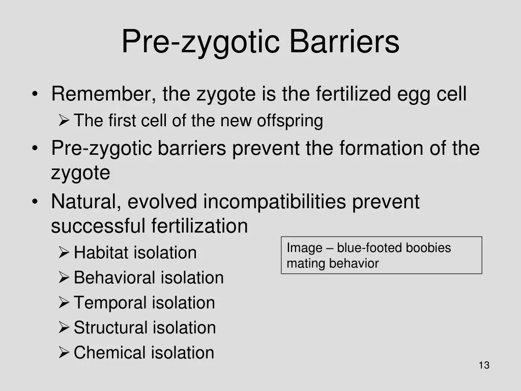 pre zygotic barriers