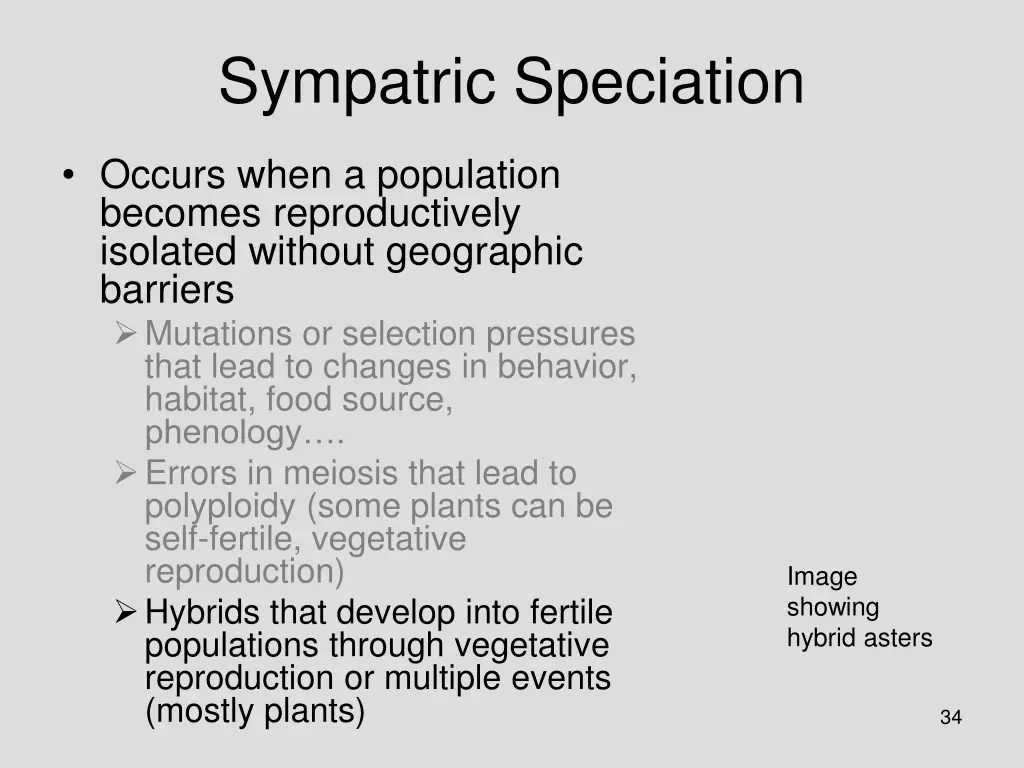 sympatric speciation 2