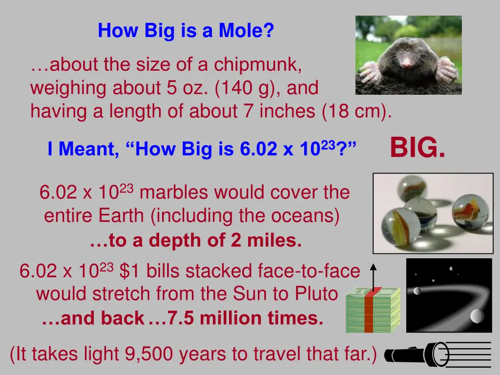 240px close up of mole