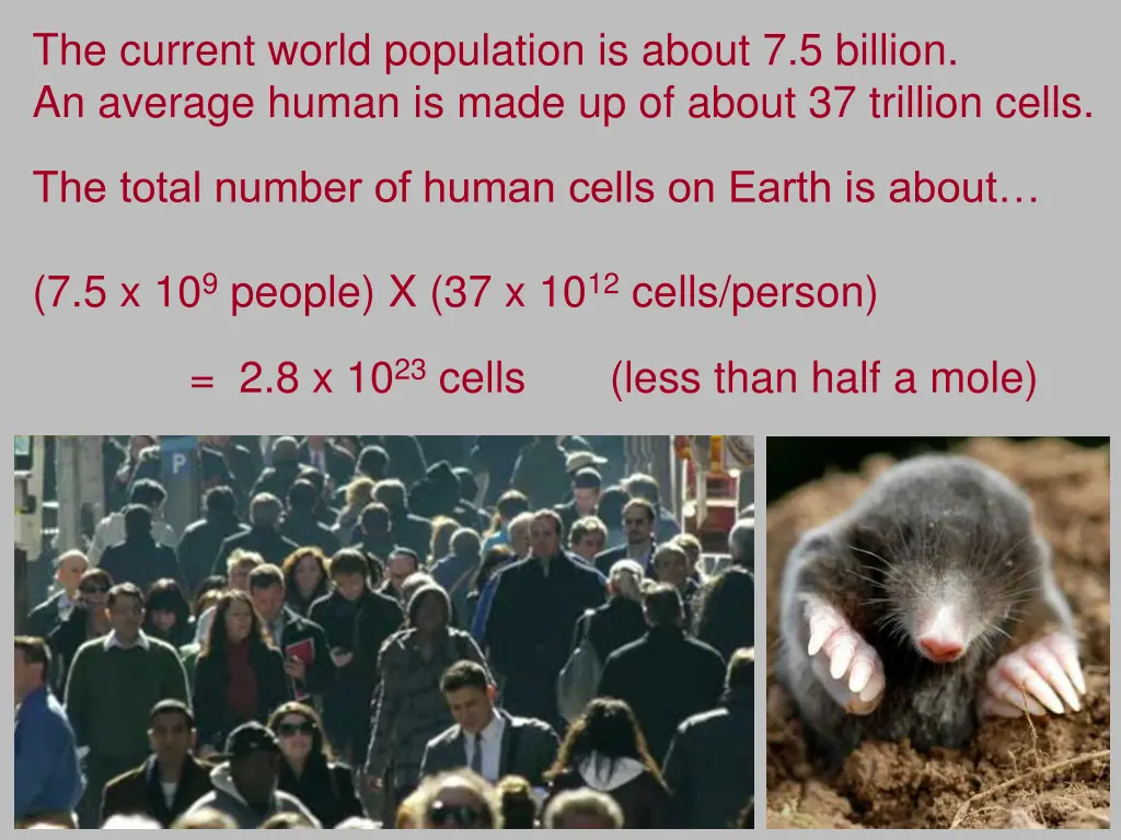 the current world population is about 7 5 billion