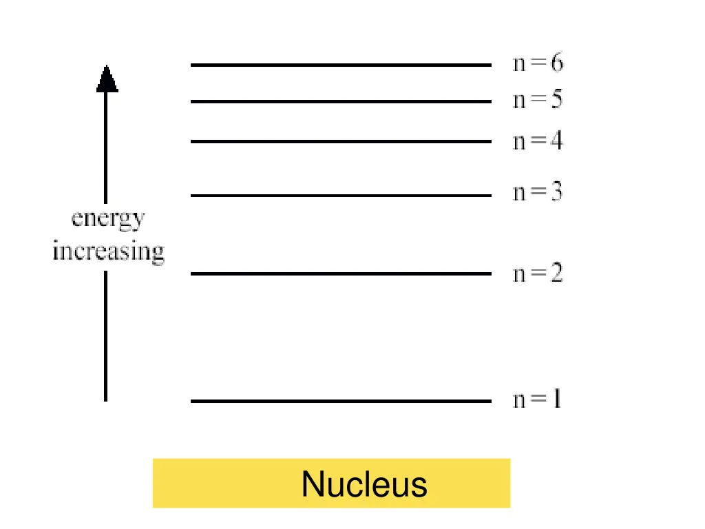 nucleus