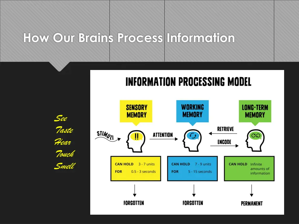 how our brains process information