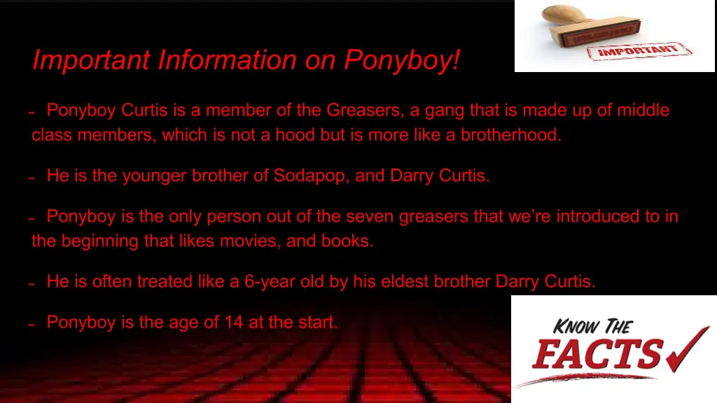 important information on ponyboy