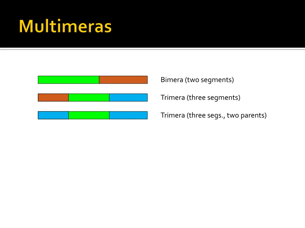 bimera two segments