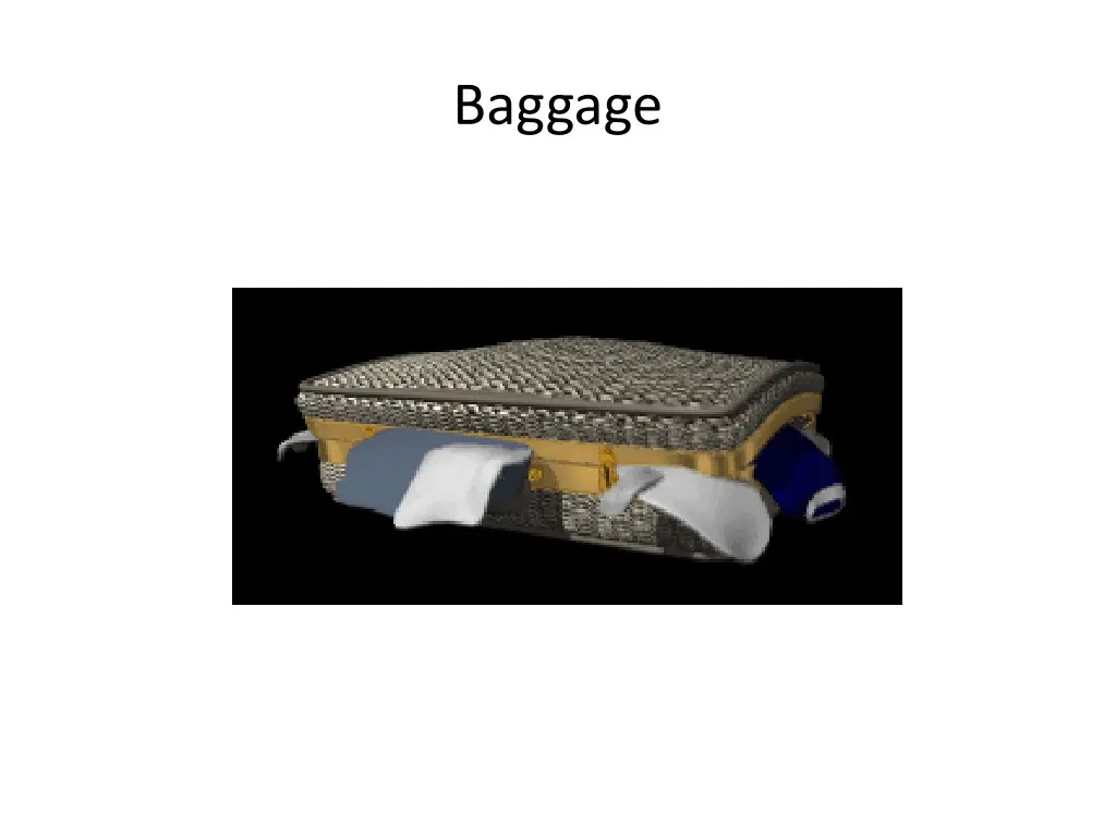 baggage