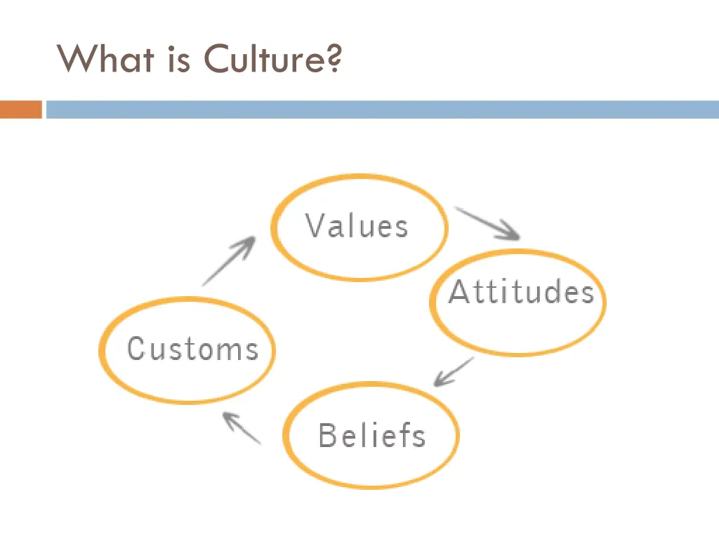 what is culture 1