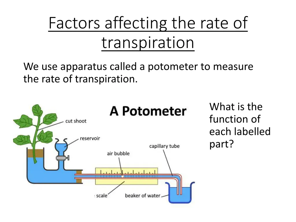 factors affecting the rate of transpiration 1