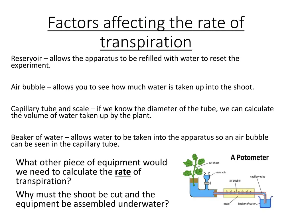 factors affecting the rate of transpiration 2