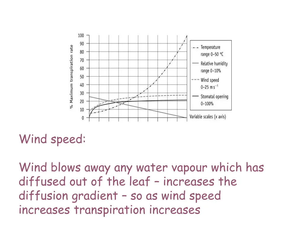 wind speed