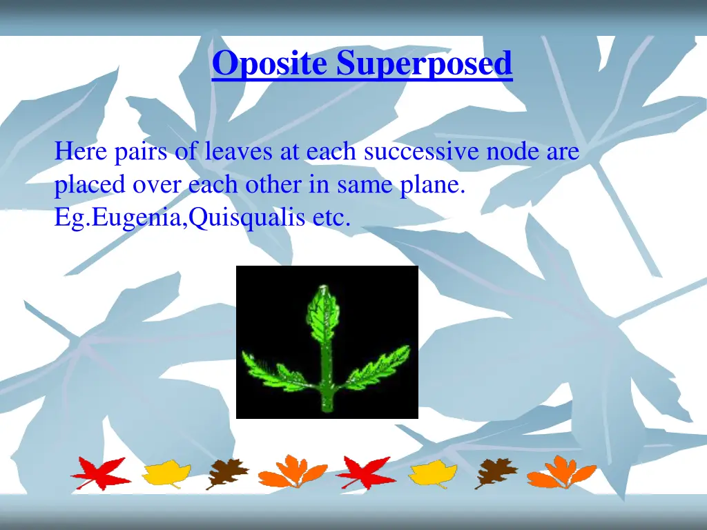 oposite superposed