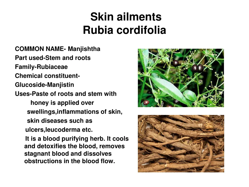 skin ailments rubia cordifolia