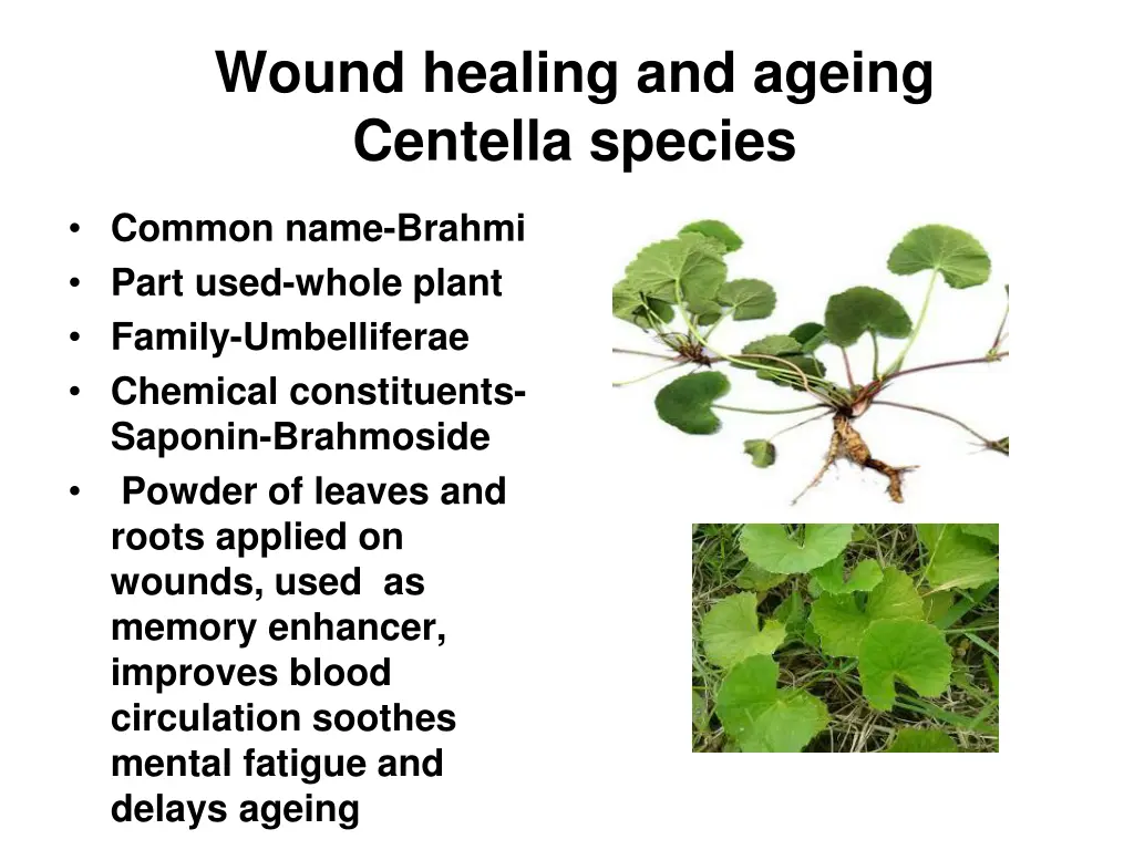 wound healing and ageing centella species