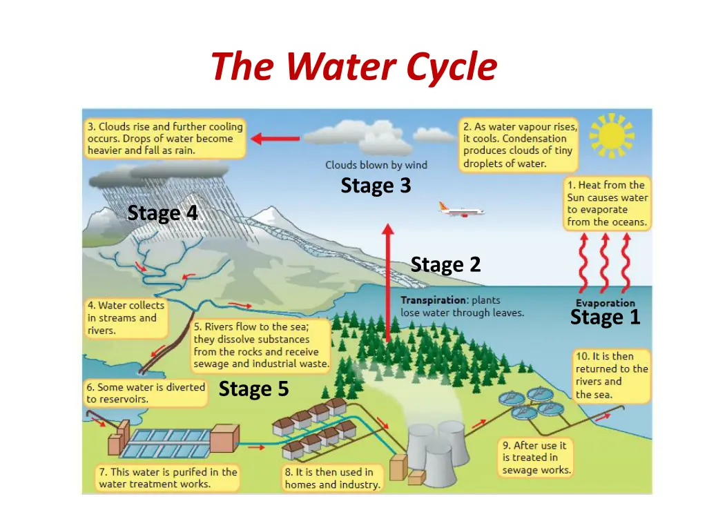 the water cycle 1