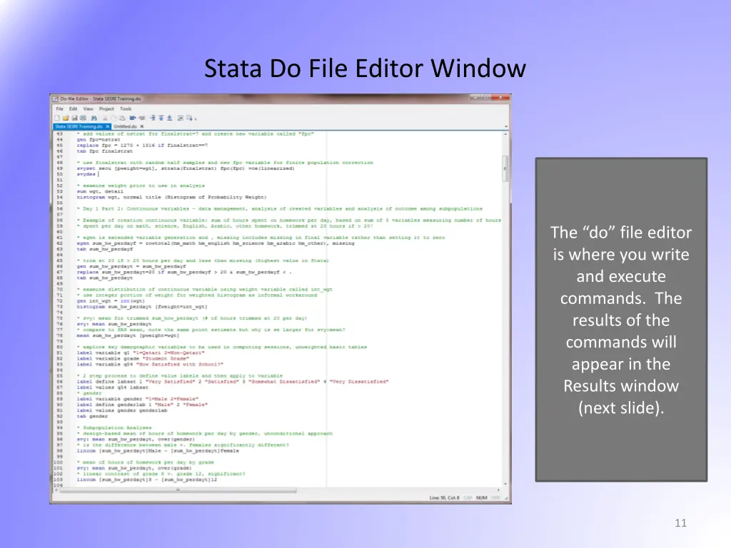 stata do file editor window