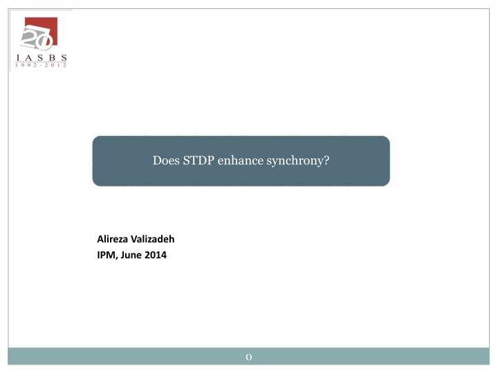 does stdp enhance synchrony