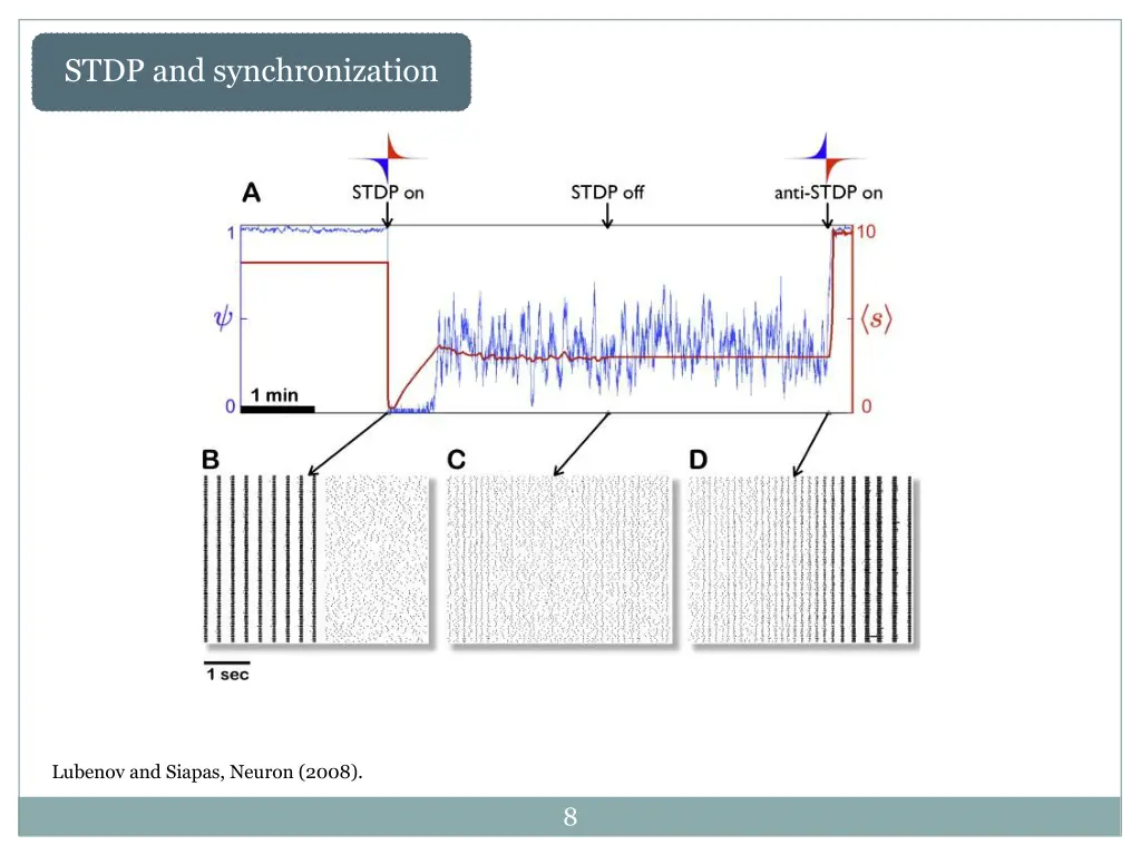 stdp and synchronization 1