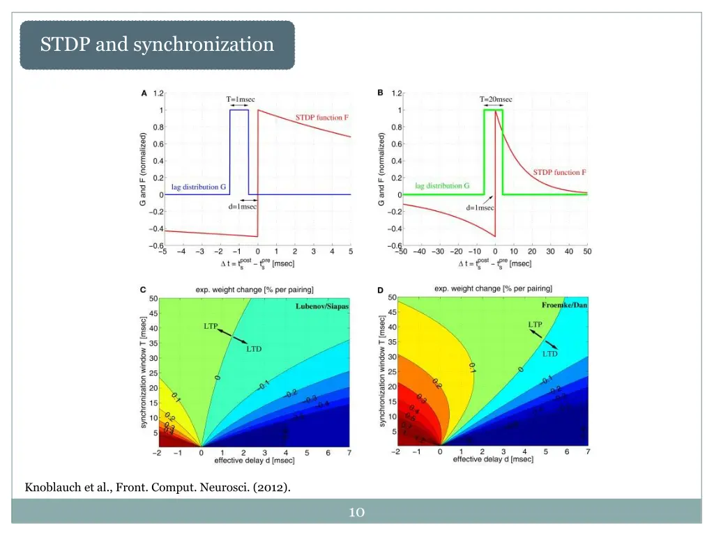 stdp and synchronization 3