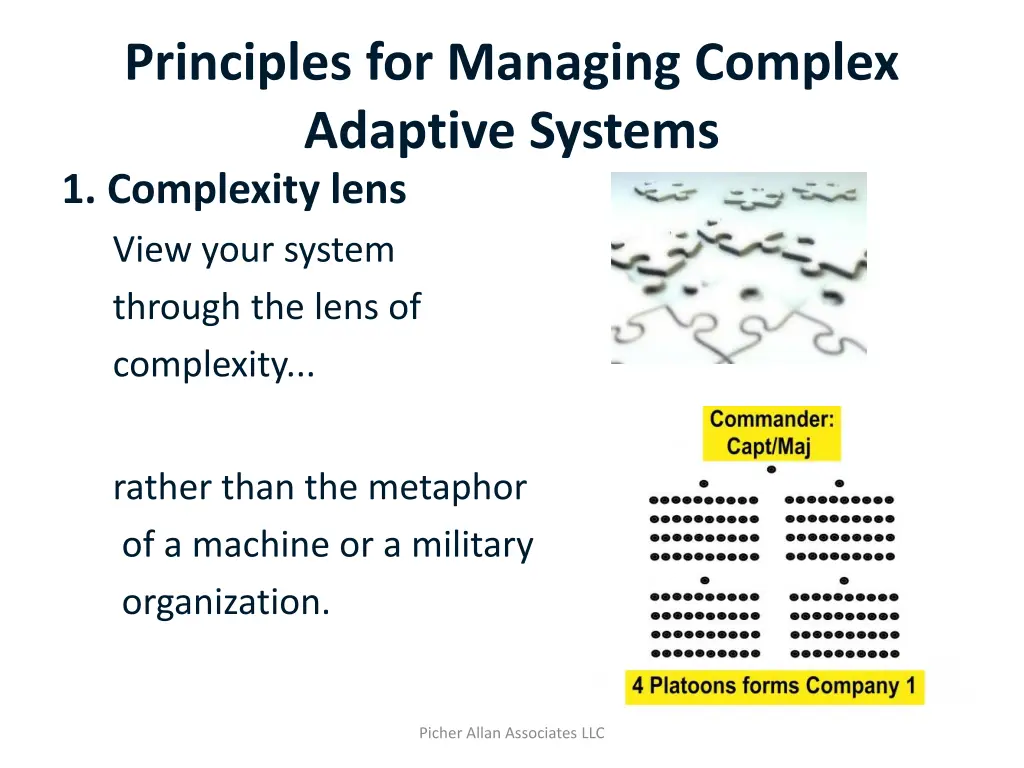 principles for managing complex adaptive systems 1