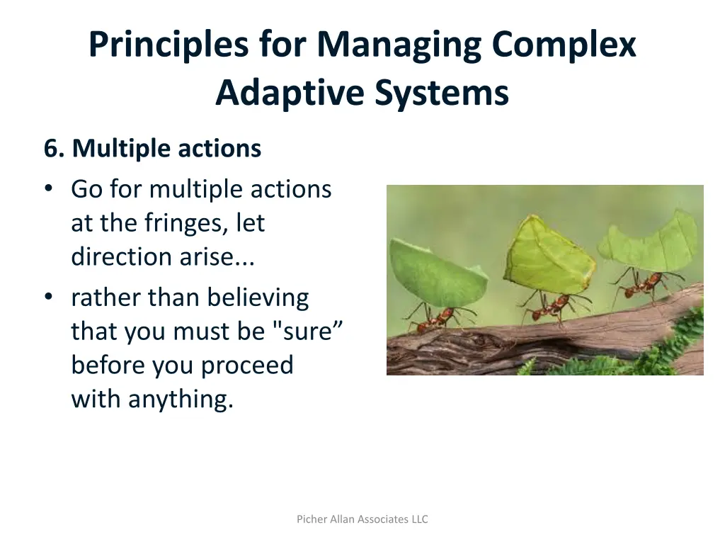 principles for managing complex adaptive systems 6