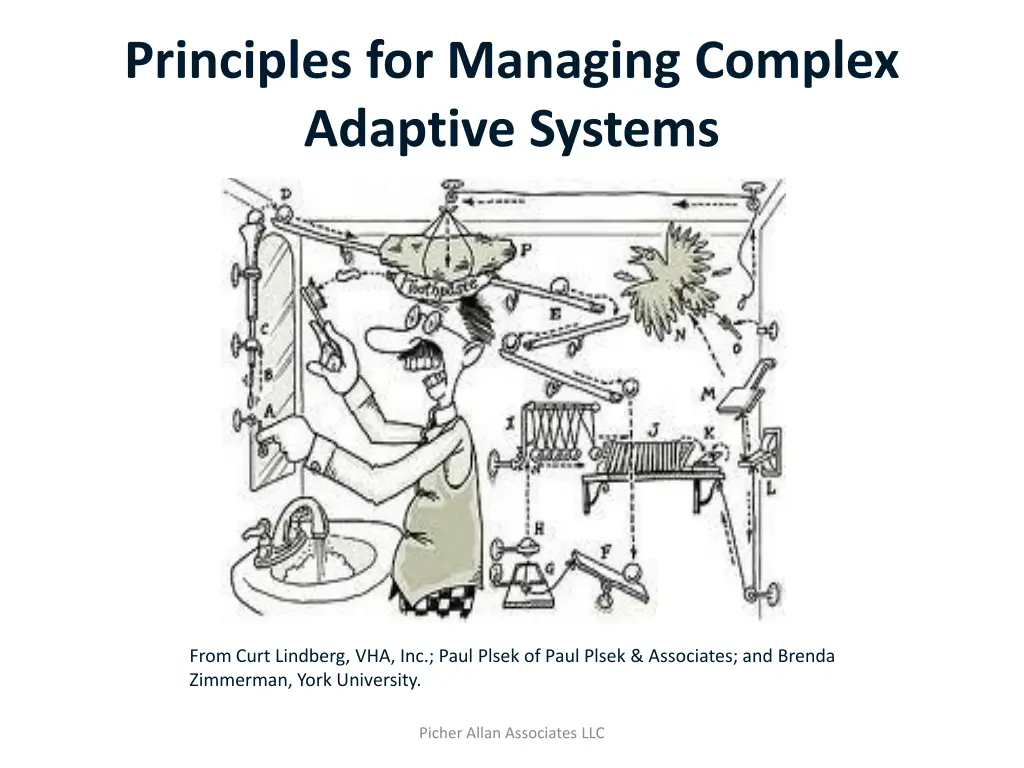 principles for managing complex adaptive systems