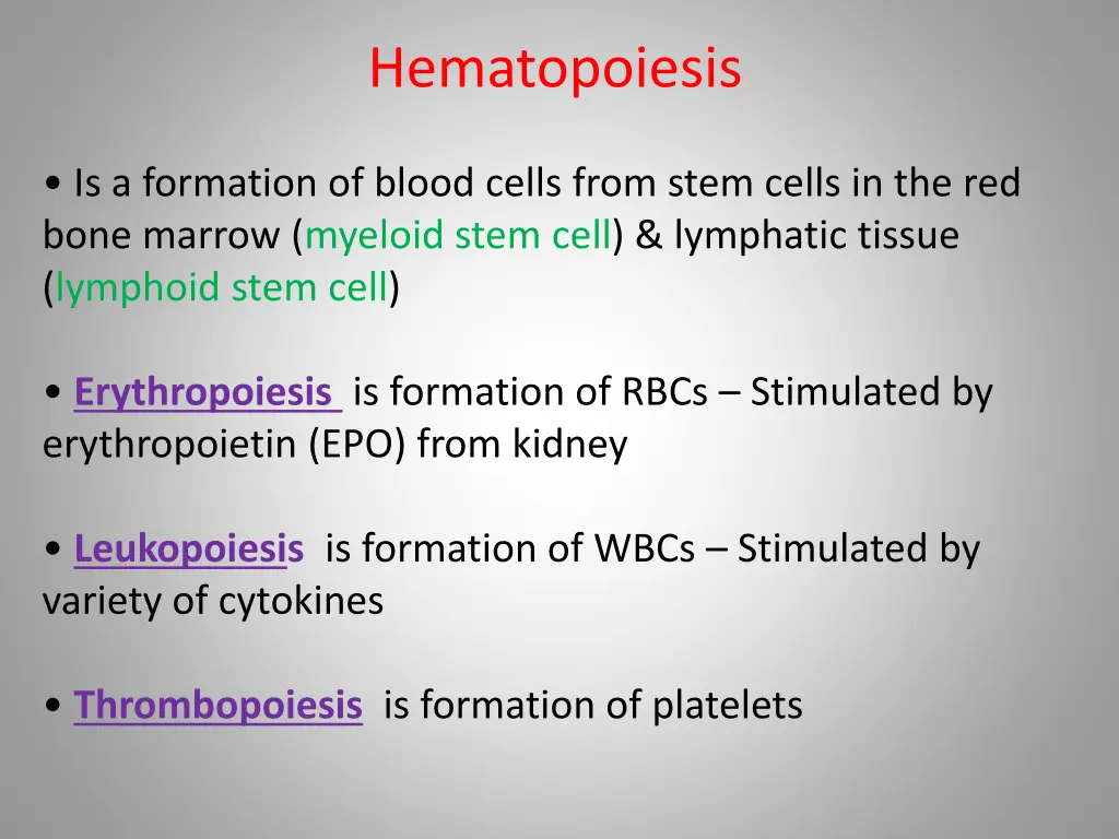 hematopoiesis