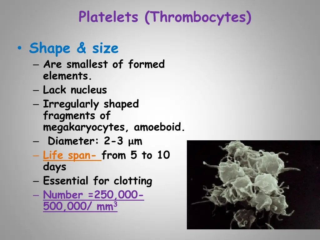 platelets thrombocytes