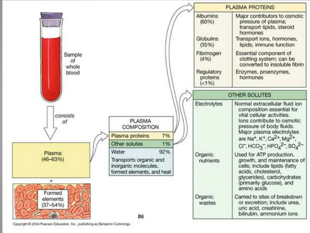 slide11