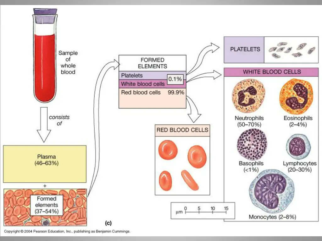 slide9