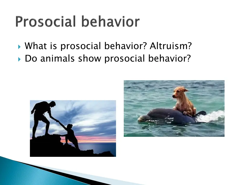 what is prosocial behavior altruism do animals