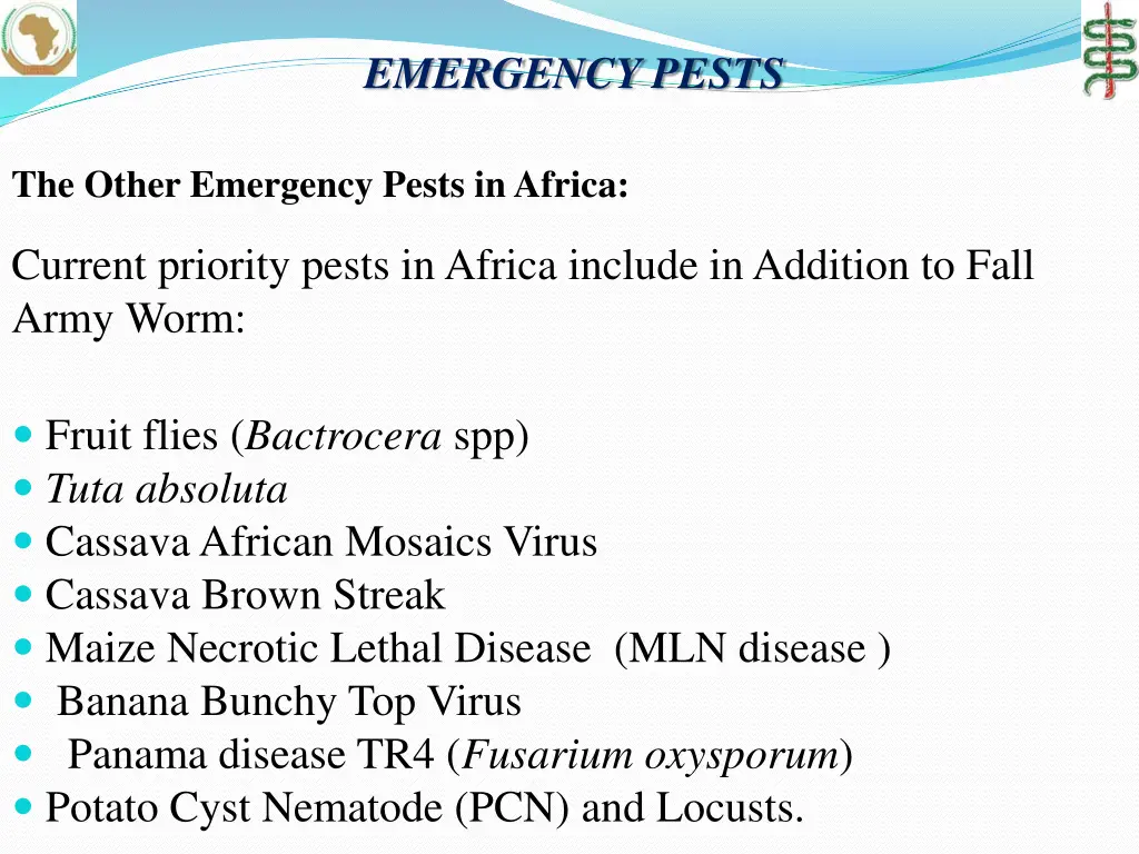 emergency pests 3