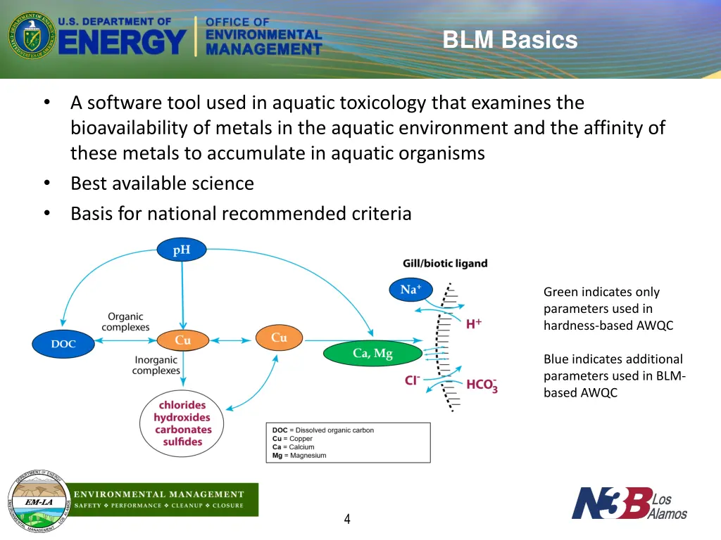 blm basics