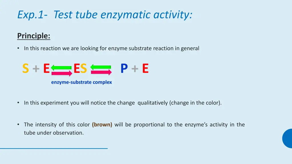 exp 1 test tube enzymatic activity