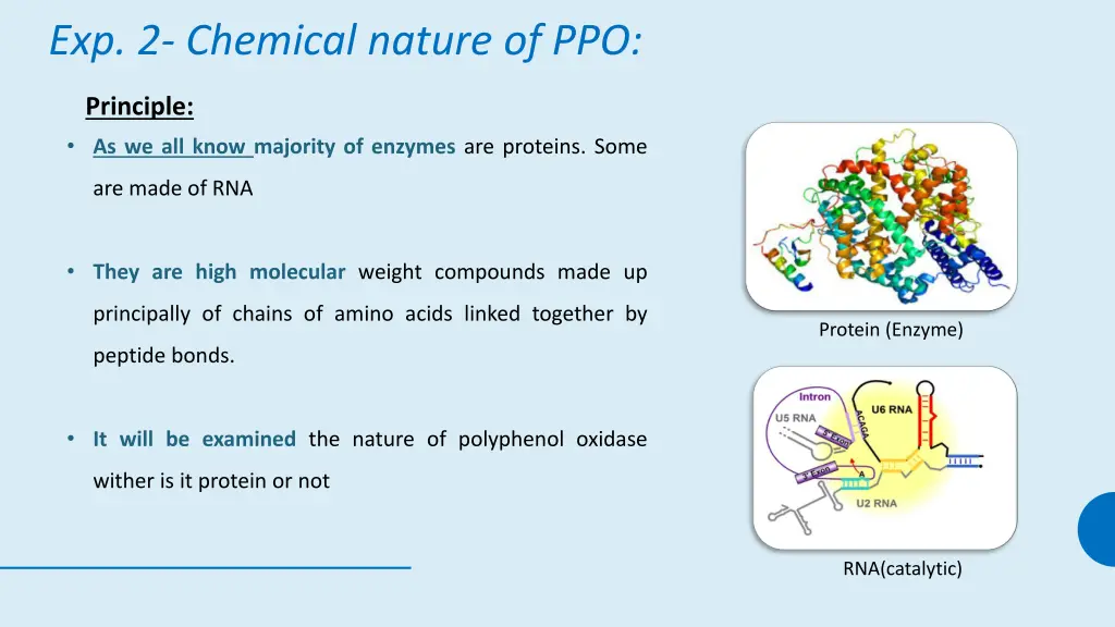 exp 2 chemical nature of ppo