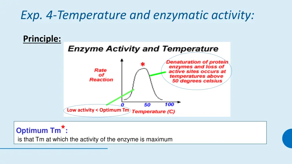 exp 4 temperature and enzymatic activity