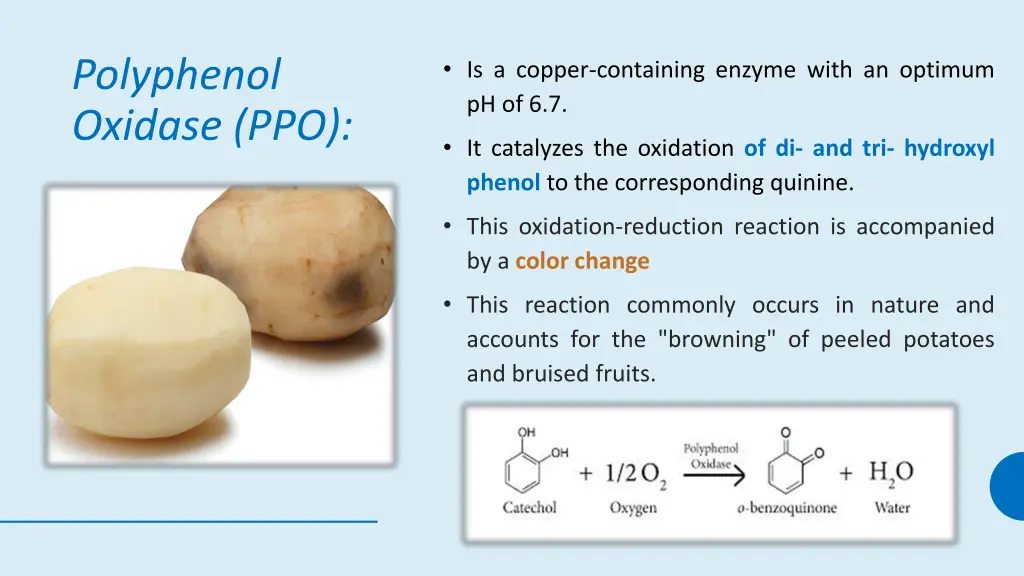 polyphenol oxidase ppo