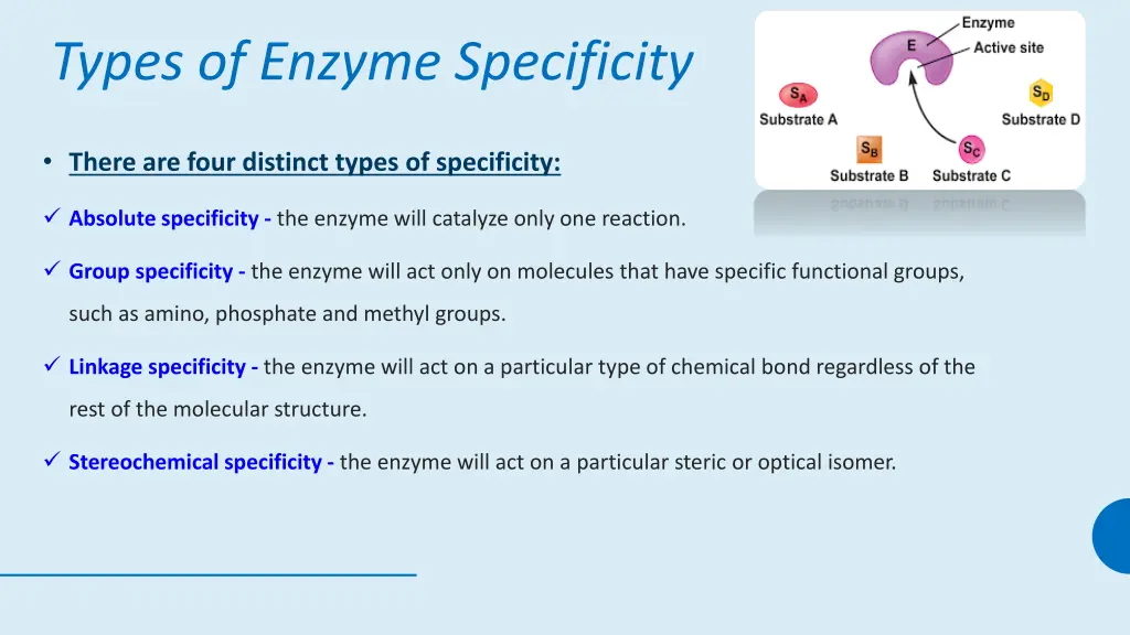 types of enzyme specificity