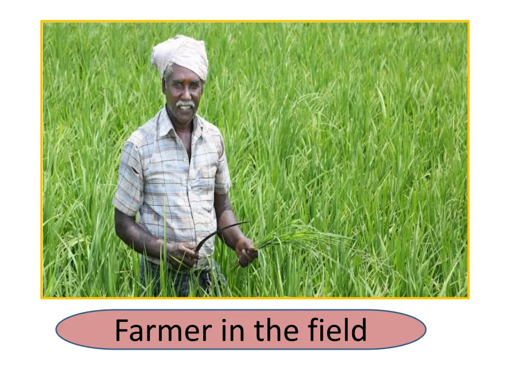 farmer in the field