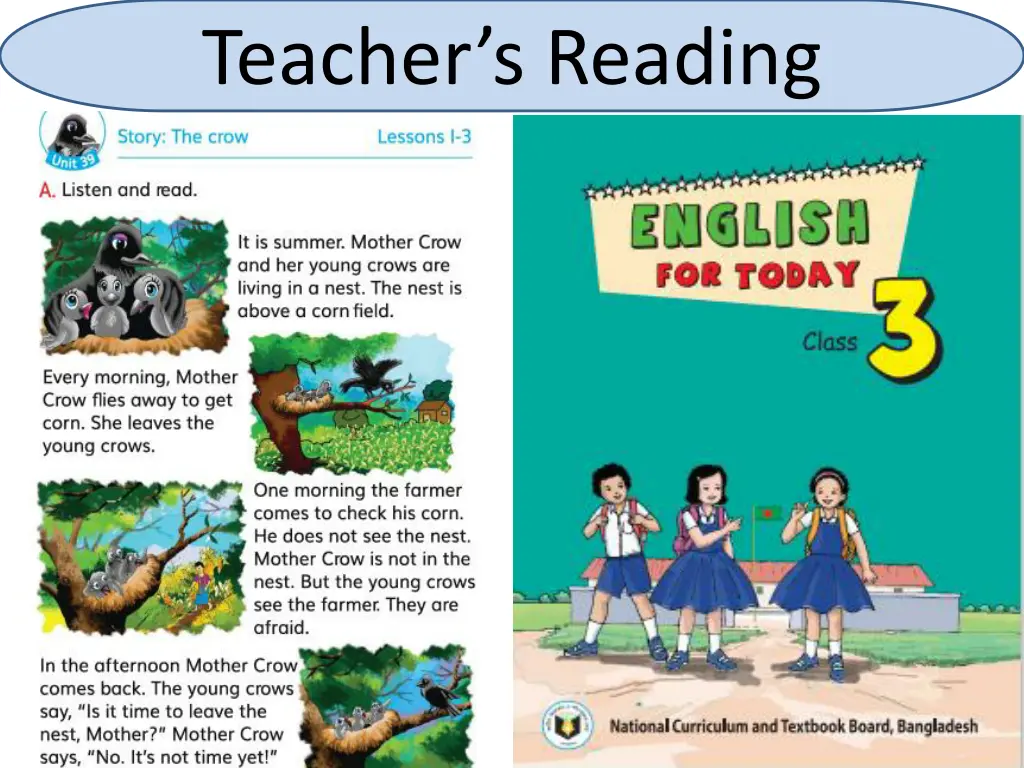 teacher s reading