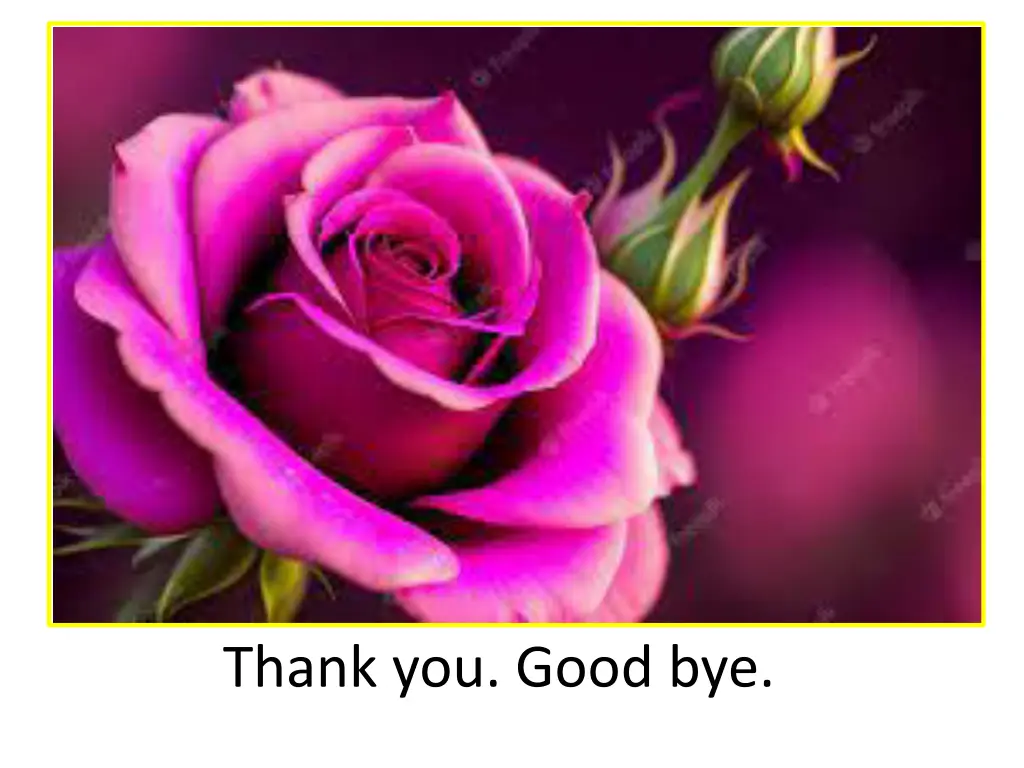 thank you good bye