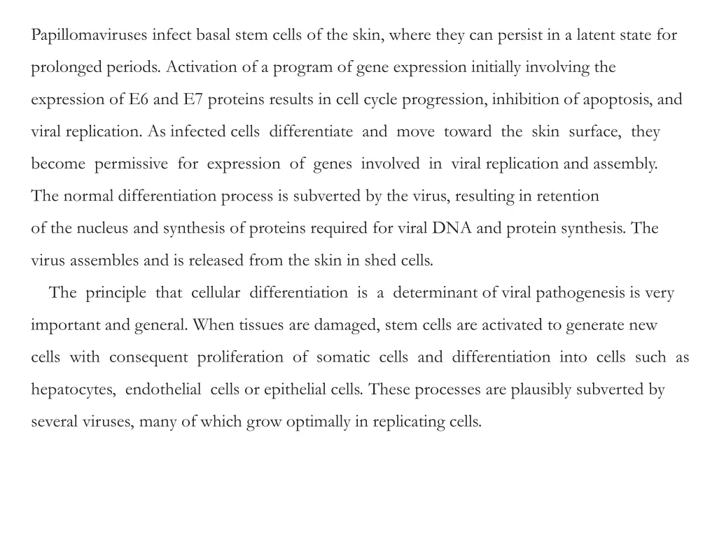 papillomaviruses infect basal stem cells